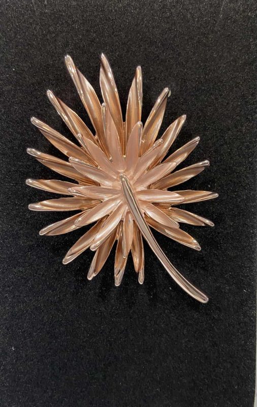 Boutique 23 Accrington