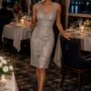 Silver Sequin and Lace Dress