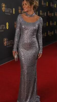 Silver Sequin Netted Long Sleeve Evening Gown