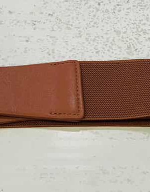 Brown Gold Buckle Elasticated Wide Belt