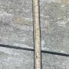 Gold Silver Trim Sparkly Belt