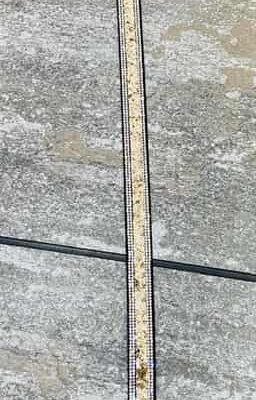 Gold Silver Trim Sparkly Belt