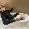 Cheeky Monkey Relaxing In The Bath Ornament