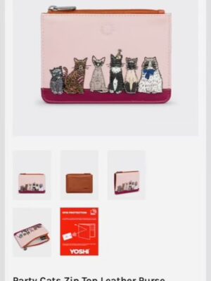 Pink Party Cats Zip Top Purse