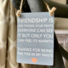 "FRIENDSHIP IS LIKE......."Mini Metal Sign
