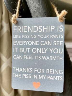 "FRIENDSHIP IS LIKE......."Mini Metal Sign