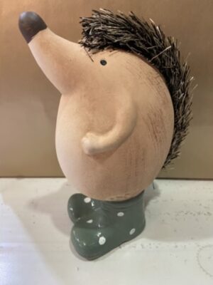 Cute Hedgehog In Wellies Holding A Flower