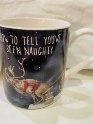 How To Tell If You've Been Naughty Fine China Mug