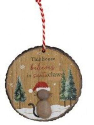 'This House Believes' Festive Cat Pebble Hanger