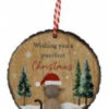 'Wishing You' Festive Cat & Dog Pebble Hangers