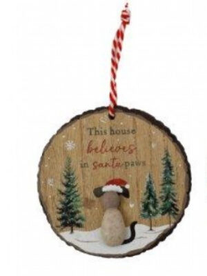 'This House Believes' Festive Cat & Dog Pebble Hangers
