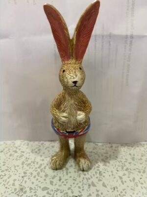 Jasper The Rabbit In Union Jack Trunks