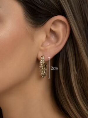 Silver Or Gold Diamante Hooped Earrings